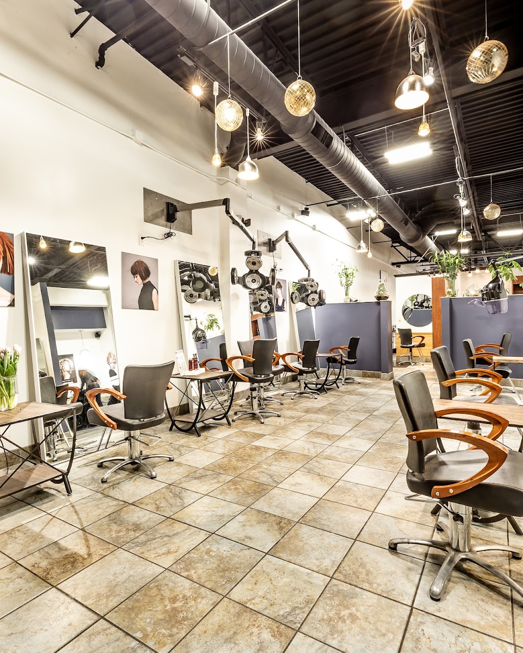 Ania Hair Studio | 1704 Western Ave, Albany, NY 12203, USA | Phone: (518) 456-8822