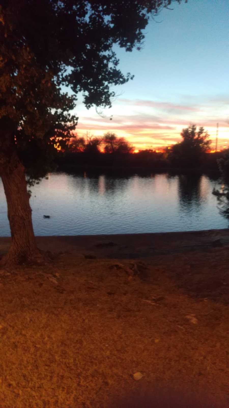 Red Mountain Lake | Mesa, AZ 85207, USA | Phone: (480) 644-7529