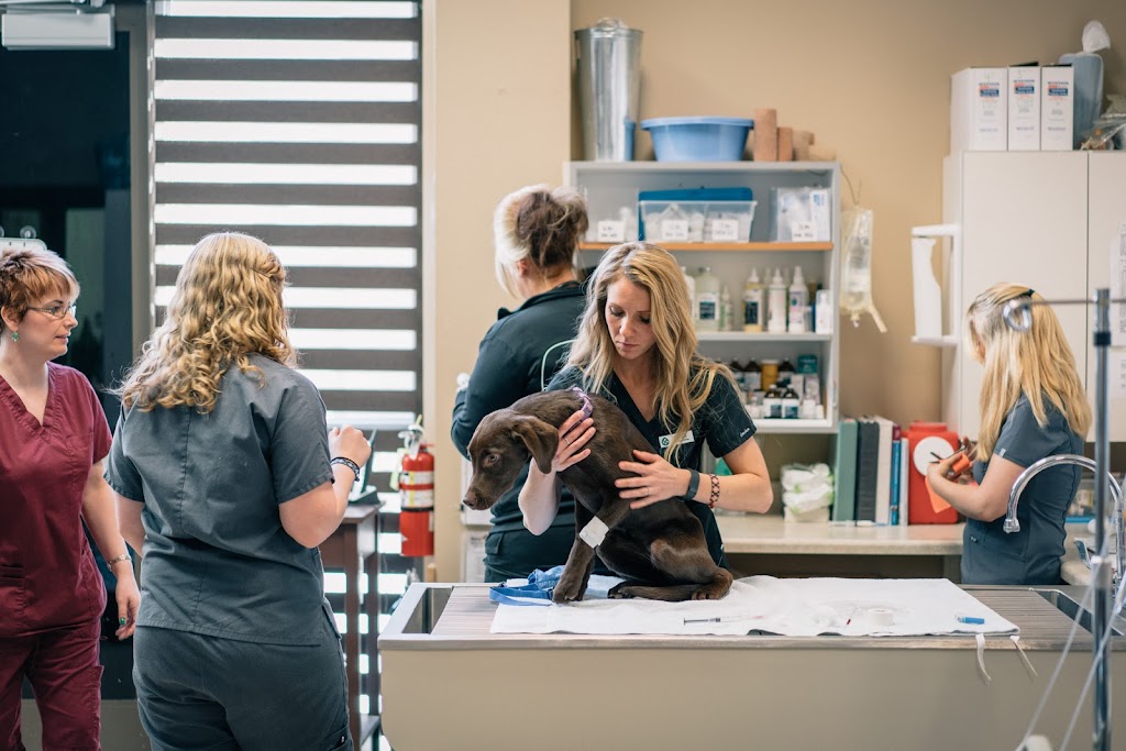 Habitat Veterinary Hospital | 3103 E Barber Valley Dr, Boise, ID 83716 | Phone: (208) 429-1818