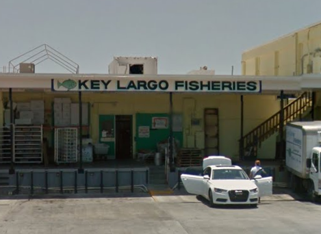 Key Largo Fisheries | 1313 Ocean Bay Dr suite b, Key Largo, FL 33037, USA | Phone: (305) 451-3782