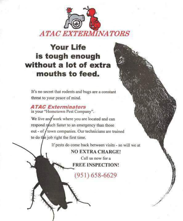 A TAC Exterminators | 1140 Beaumont Ave #E, Beaumont, CA 92223, USA | Phone: (951) 658-6629