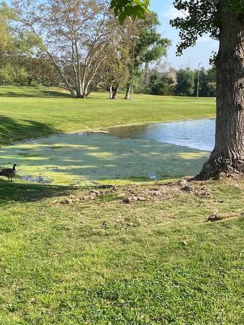 Lake Forest Golf and Practice Center | 23308 Cherry Ave, Lake Forest, CA 92630, USA | Phone: (949) 859-1455