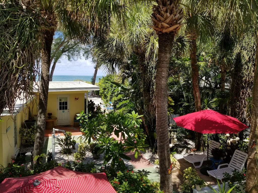 SANDY SHORES | 314 Gulf Blvd, Indian Rocks Beach, FL 33785, USA | Phone: (727) 418-2799