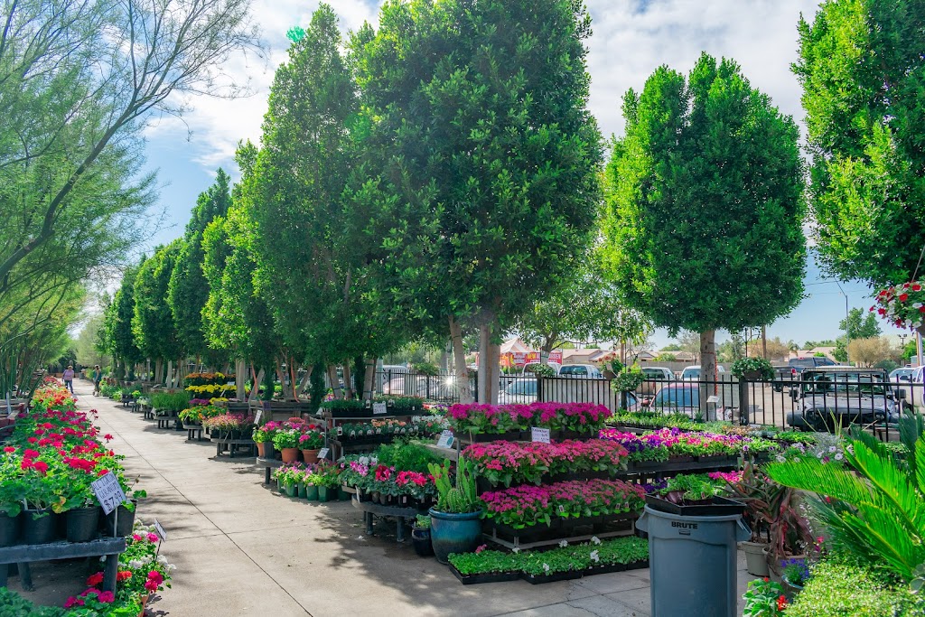 Moon Valley Nurseries | 8550 W Pinnacle Peak Rd, Peoria, AZ 85383, USA | Phone: (623) 242-5754 Moon Valley Nurseries | 8550 W Pinnacle Peak Rd, Peoria, AZ 85383, USA | Phone: (623) 242-5754