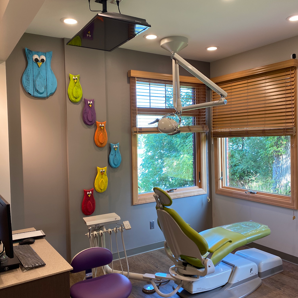 Willow Pediatric Dentistry Of Tecumseh | 603 N Evans St, Tecumseh, MI 49286, USA | Phone: (517) 317-8700