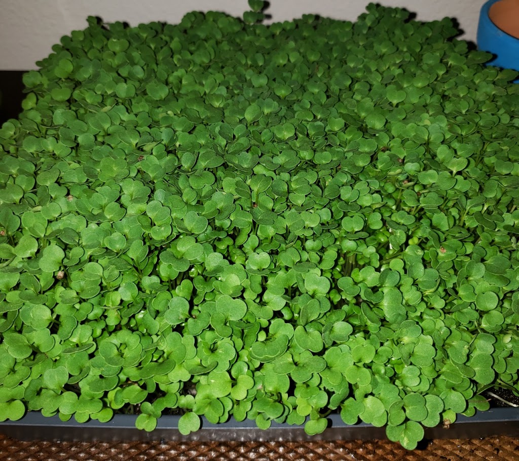 Jims Crop Circle | Socorro St, Murrieta, CA 92563, USA | Phone: (760) 855-8369