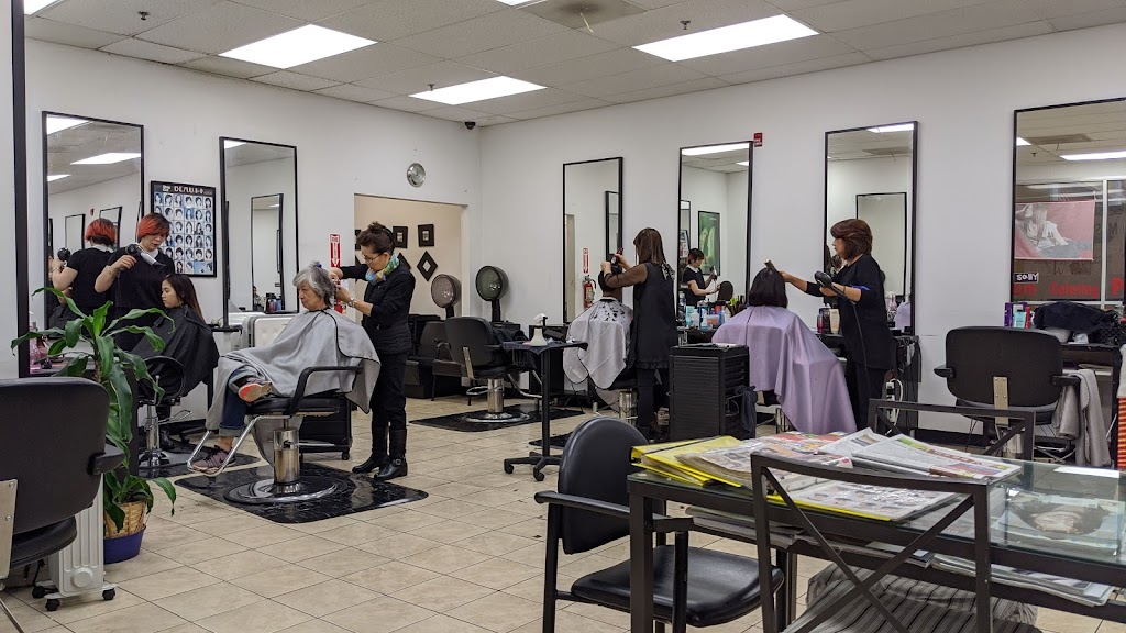 Lotte Plaza Barber & Salon | 13955 Metrotech Dr, Chantilly, VA 20151, USA | Phone: (703) 263-1778