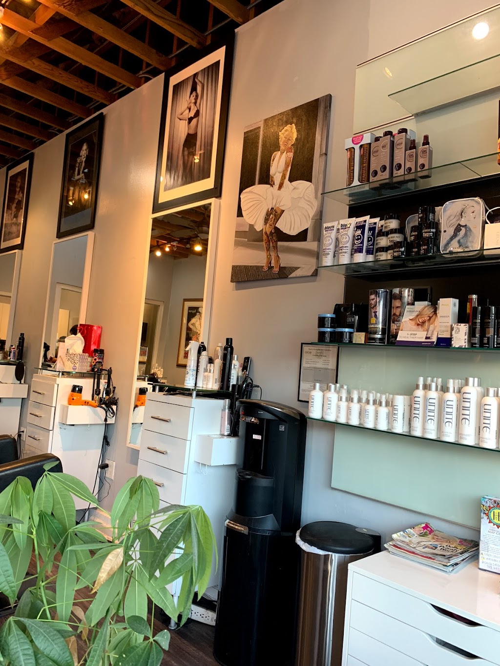 Crush Salon - Hermosa Beach | 69 14th St, Hermosa Beach, CA 90254, USA | Phone: (310) 341-8792