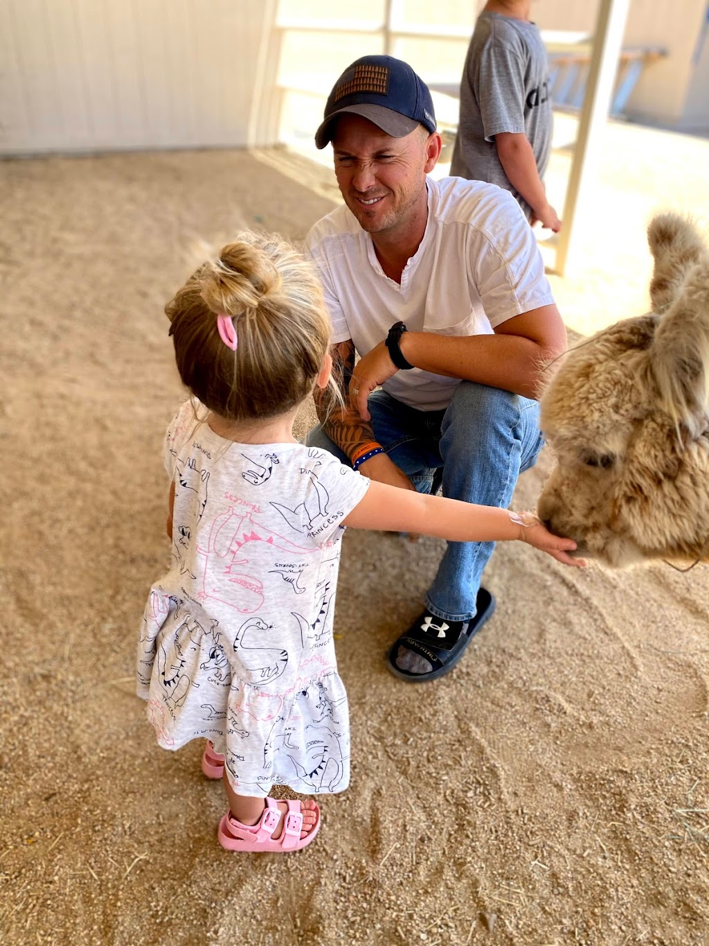 Cactus Hills Alpaca Farm | 40406 N 6th Ave, Phoenix, AZ 85086, USA | Phone: (503) 997-8120