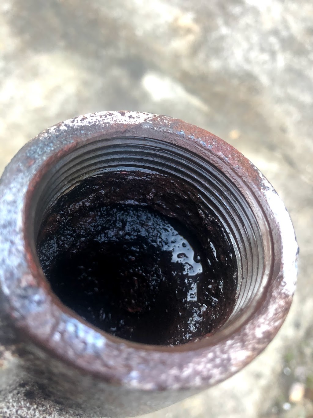 Salty Paws Charters and Marine Mechanical LLC | 6528 Walter Reed Dr, Gloucester, VA 23061, USA | Phone: (804) 832-7382