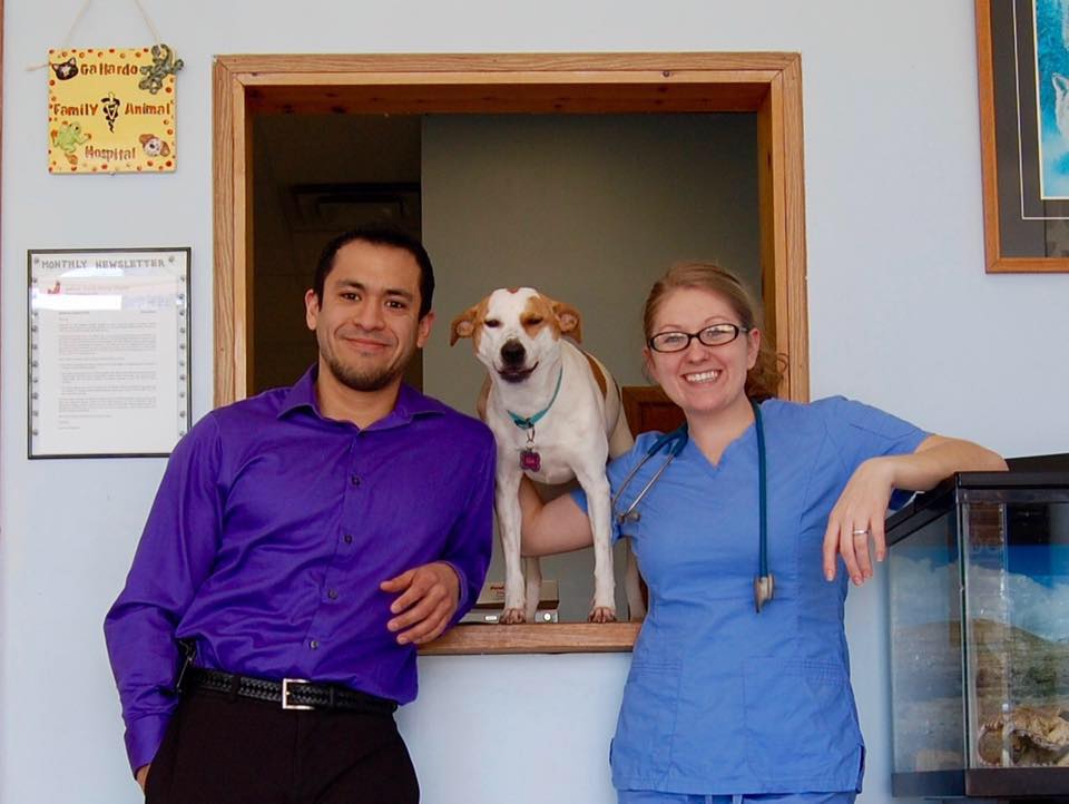 Gallardo Family Animal Hospital | 1125 Main St, Milford, OH 45150, USA | Phone: (513) 576-6988