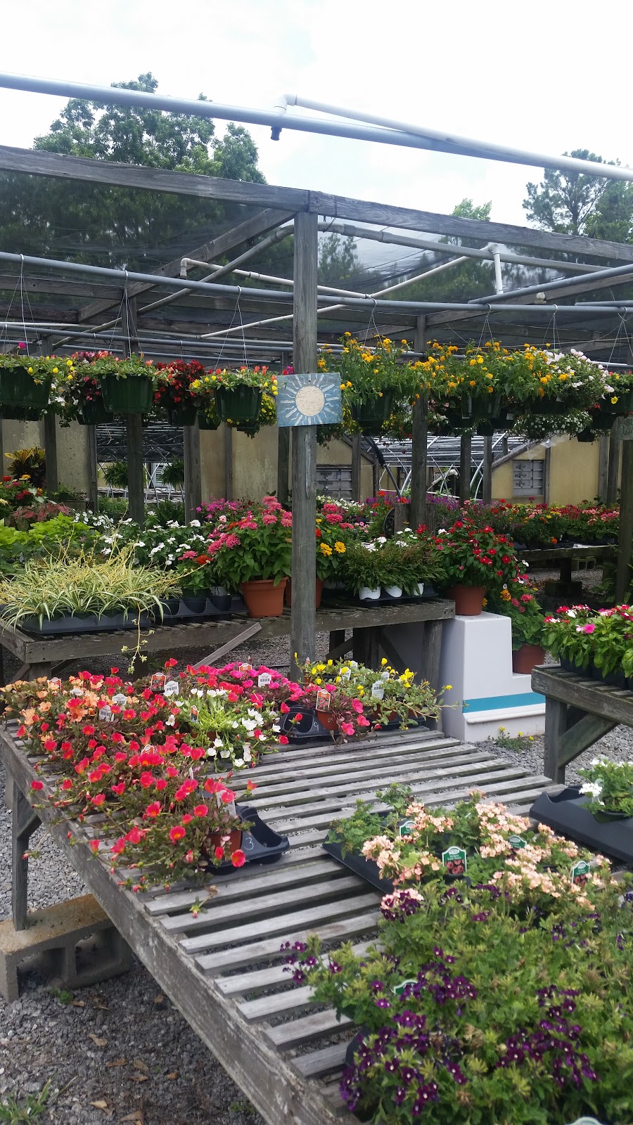 Bettes Garden Center | 1217 Tallapoosa St, Alexander City, AL 35010 | Phone: (256) 329-1115