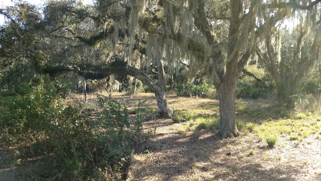 Bee Island Primitive Campsite | Myakka City, FL 34251, USA | Phone: (941) 361-6511