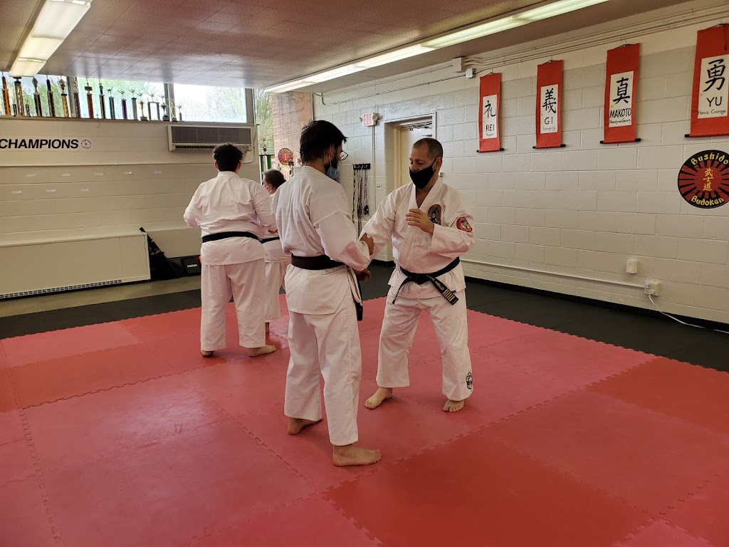 Bushido Budokan Academy of Self Defense | 23401 Jefferson Ave Ste 3, St Clair Shores, MI 48080, USA | Phone: (586) 200-9997