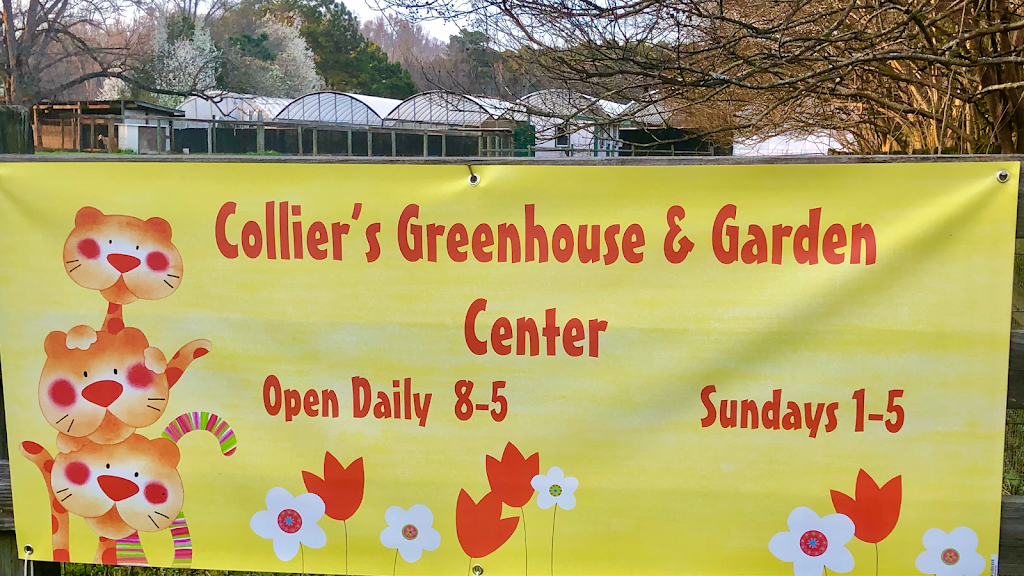 Colliers Greenhouse & Garden Center | 1351 GA-16, Jackson, GA 30233, USA | Phone: (770) 775-2069