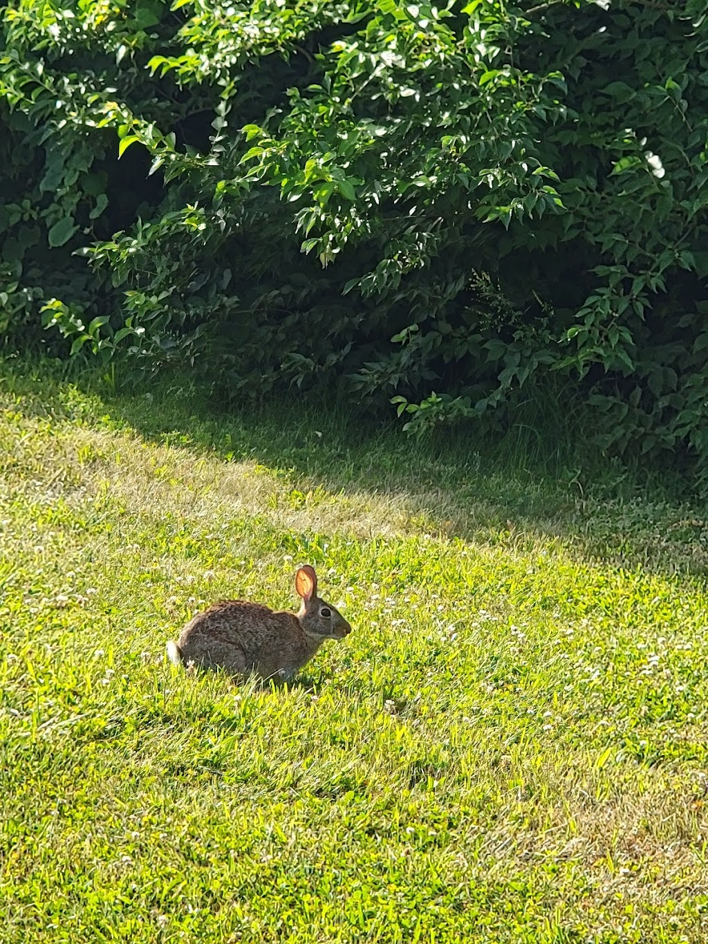 Wetlands Park West | 6906 Van Gorden Rd, Liberty Township, OH 45011, USA | Phone: (513) 759-7500