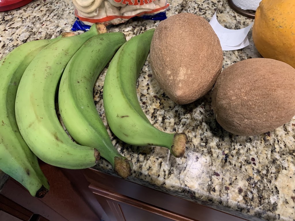 Platanos Power | 13438 US-19, Port Richey, FL 34667, USA | Phone: (727) 378-4214