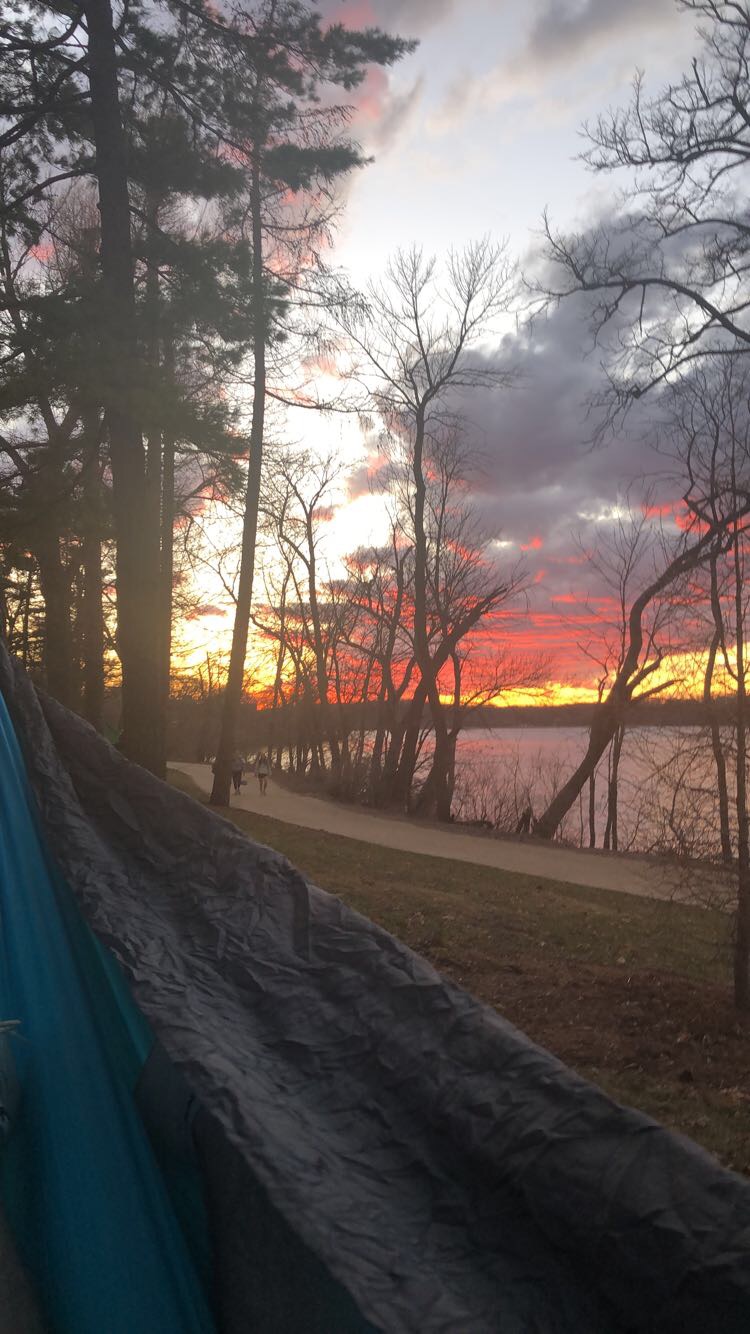 Bradleys Hammocking Trees | 650 Elm Dr, Madison, WI 53706, USA | Phone: (920) 420-9500