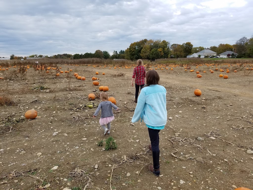 Mother Goose Preschool | 35 Canadian Geese Rd, Attleboro, MA 02703 | Phone: (508) 789-6837