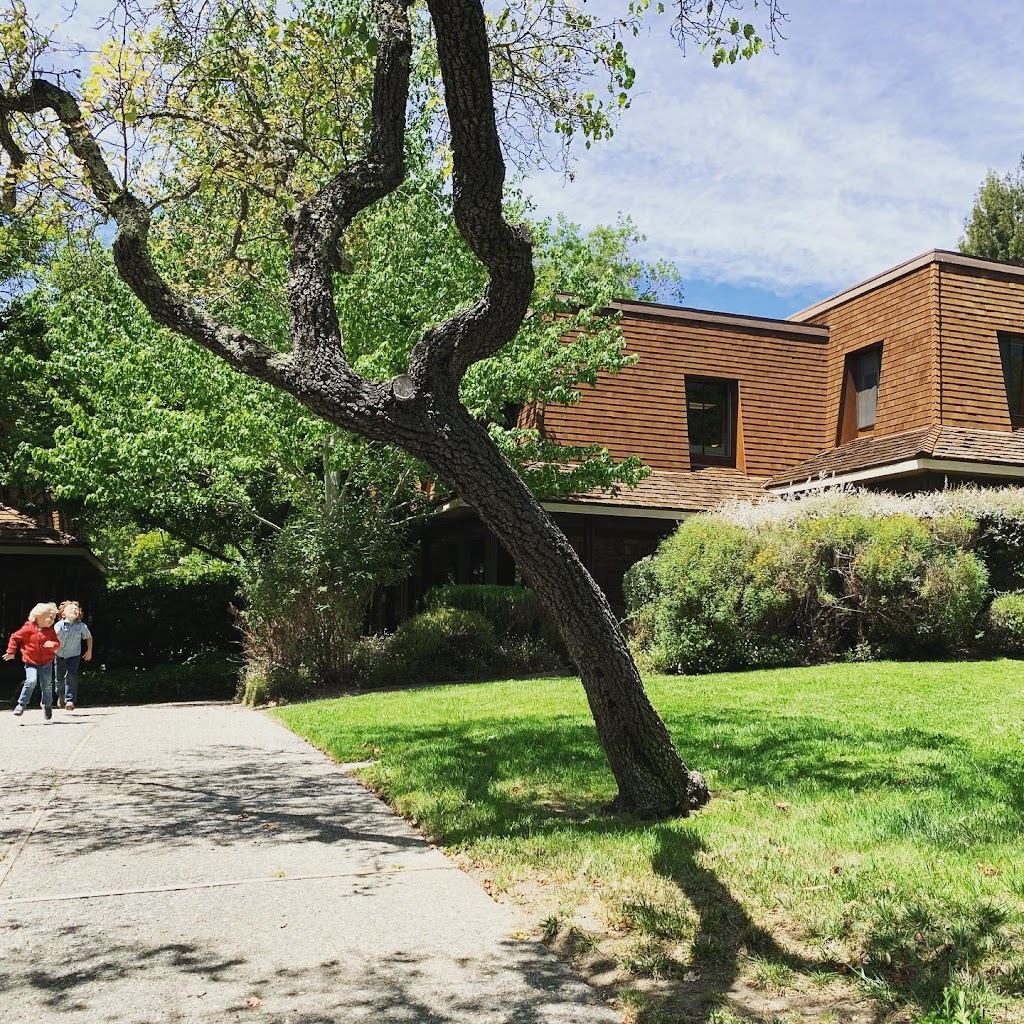 Enchanted Lands, Coworking and Wellness | Creekside Center, 7 Mt Lassen Dr Building A, Suite 251, San Rafael, CA 94903 | Phone: (415) 595-4221