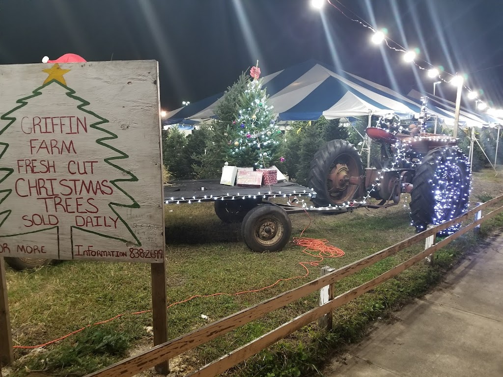 Griffin Farm Fresh Christmas Trees | 542238 US-1, Callahan, FL 32011, USA | Phone: (904) 838-2699