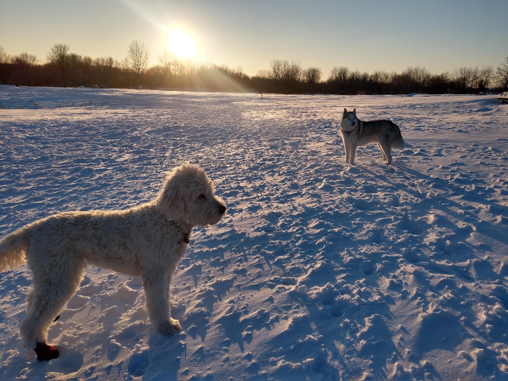 Rice Creek Off-Leash Dog Area | 5959 Lexington Ave N, Shoreview, MN 55126 | Phone: (651) 748-2500