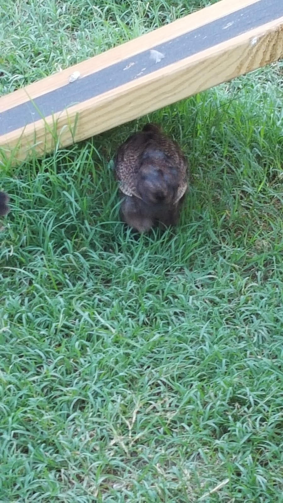 Bentley Park | Bixby, OK 74008, USA | Phone: (918) 366-4430