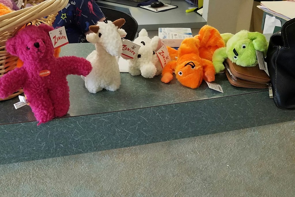 Acorn Veterinary Clinic | 1340 E Covell Blvd # 101, Davis, CA 95616, USA | Phone: (530) 753-7580