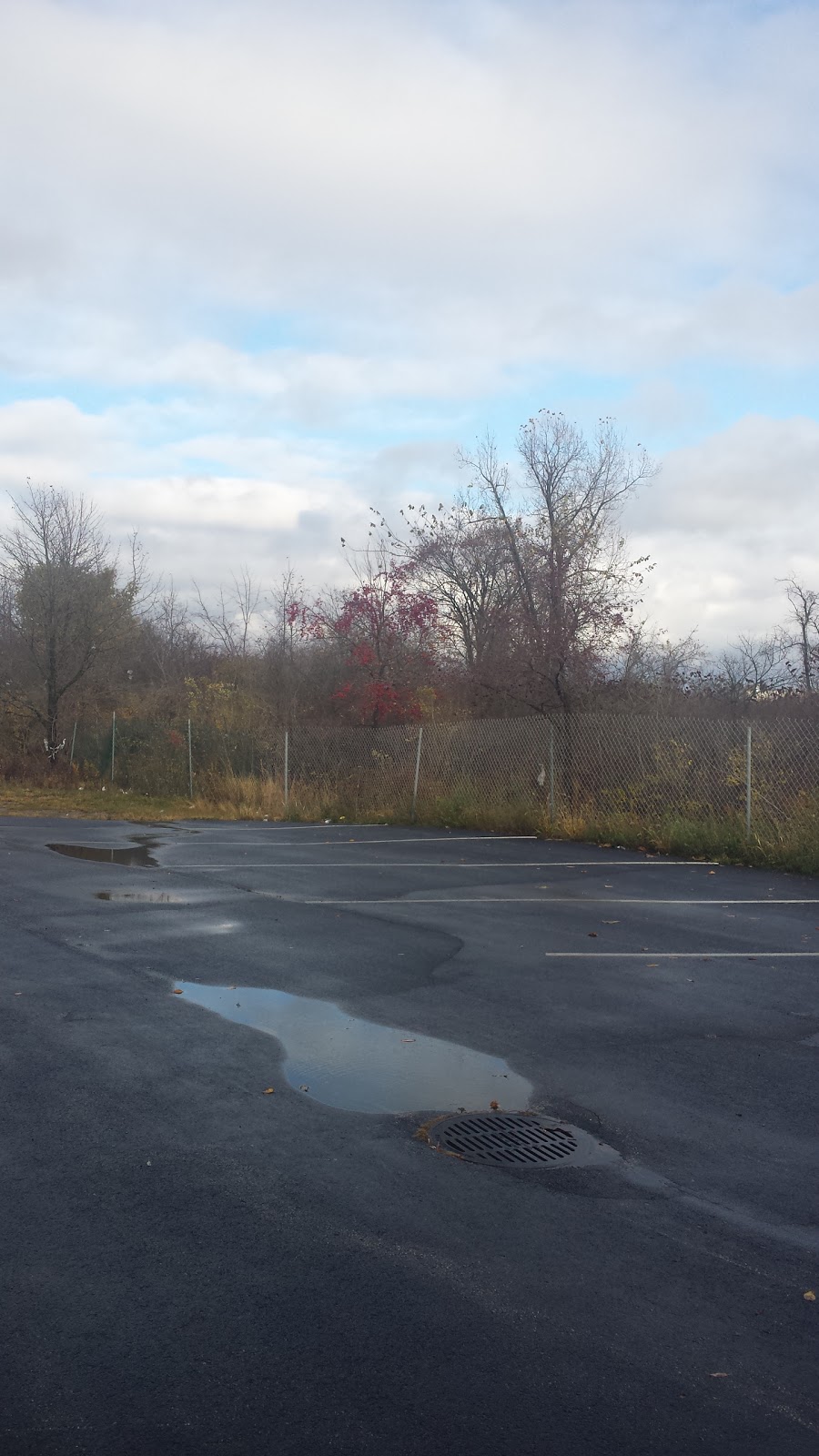 barbara green real estate | 7751 Brier Creek Pkwy #100, Raleigh, NC 27617, USA | Phone: (919) 522-0880