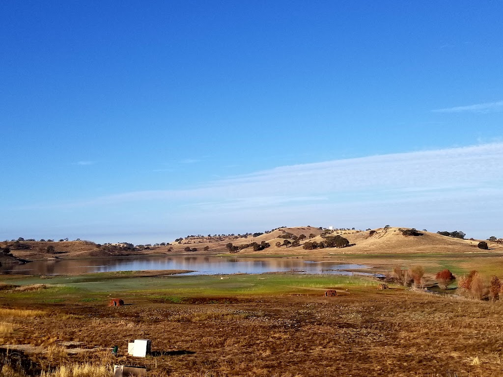 Camanche Hills Hunting Preserve | 2951 Curran Rd, Ione, CA 95640, USA | Phone: (209) 763-5270