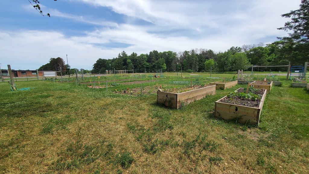 City Community Garden | 1700 E Rum River Dr S, Cambridge, MN 55008, USA | Phone: (763) 689-1810