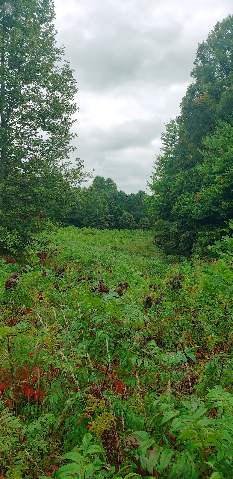 Cemetery Ridge Trail | Creekside Meadows Trail, Rockbridge, OH 43149, USA | Phone: (740) 969-8210