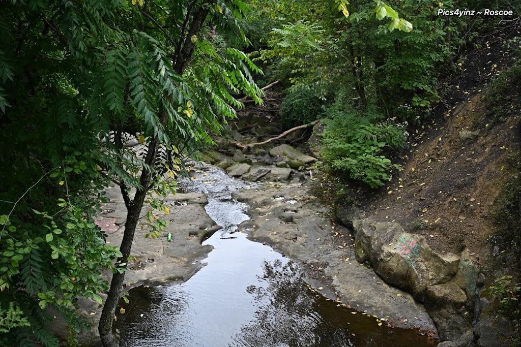 Buttermilk Falls Natural Area | Route 18 & First Avenue & Homewood Borough, Beaver Falls, PA 15010, USA | Phone: (724) 770-2060