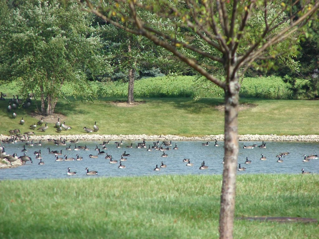 North Shore Goose Control | 23114 N Richards Ct, Lincolnshire, IL 60069, USA | Phone: (847) 913-5855