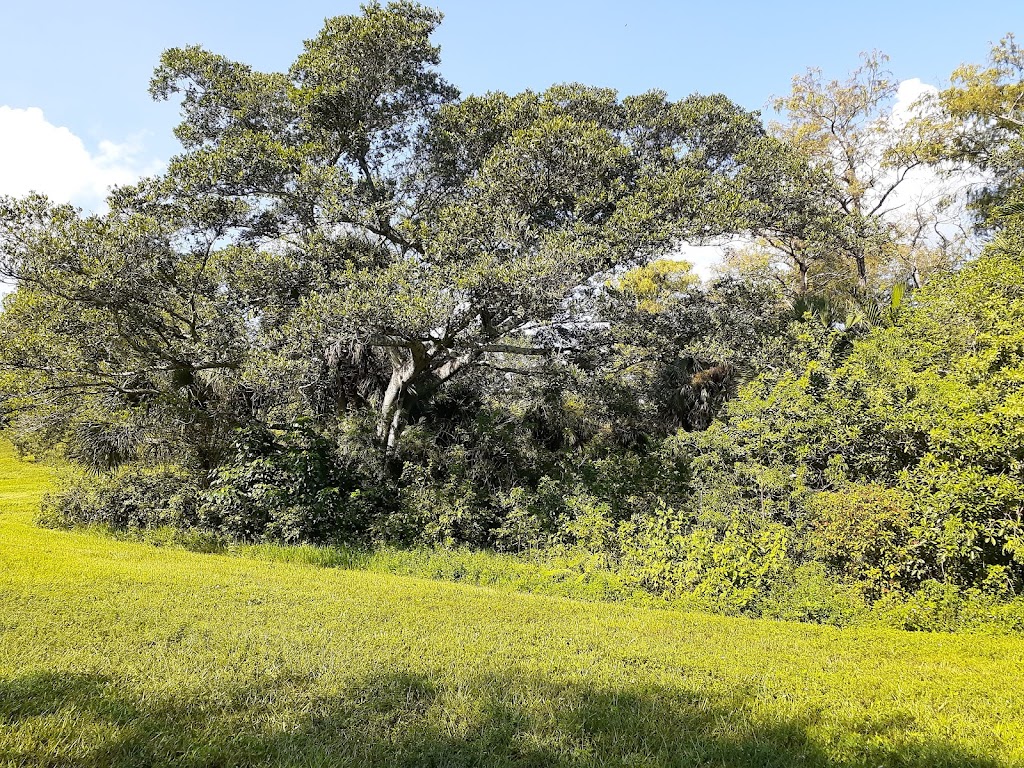 Three Mountains Natural Area | 9200 NW 1st St, Coral Springs, FL 33071, USA | Phone: (954) 345-2200