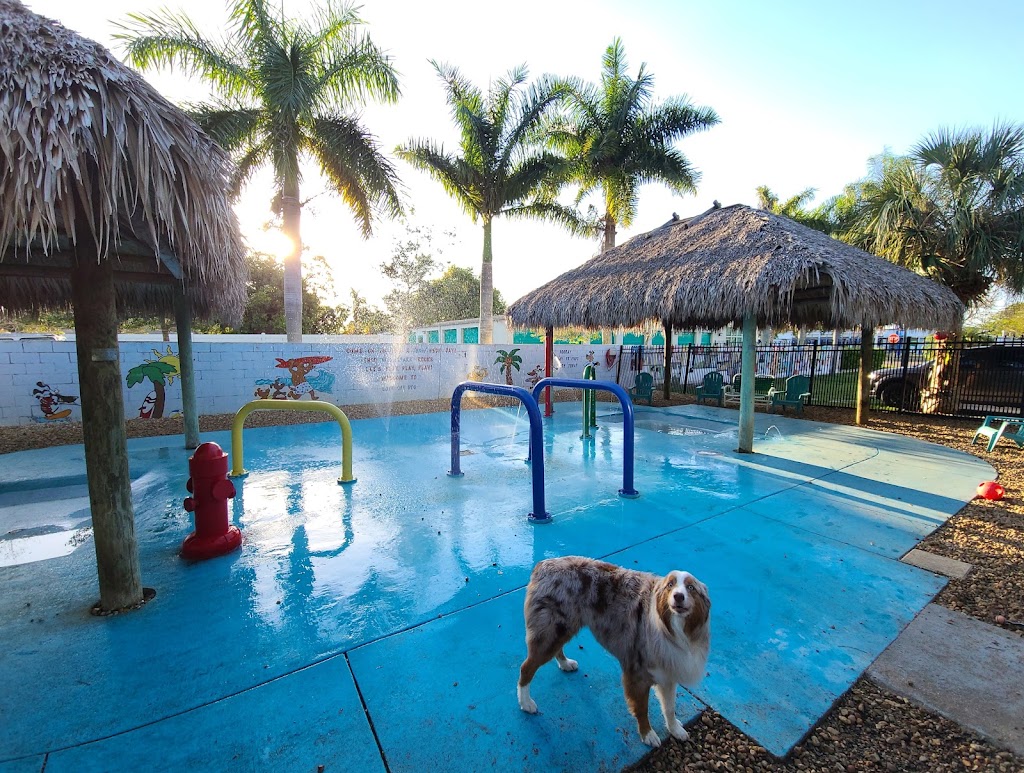 Love My Dog Resort & Waterpark | 6427 54th Ave N, St. Petersburg, FL 33709, USA | Phone: (727) 545-0141