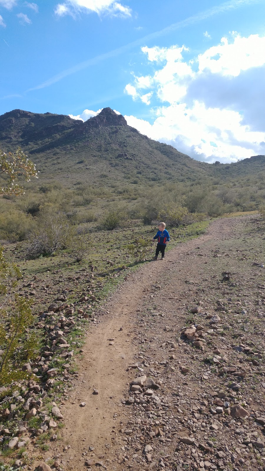 Phoenix Mountains Preserve | 15800 N 16th St, Phoenix, AZ 85022, USA | Phone: (602) 262-6862