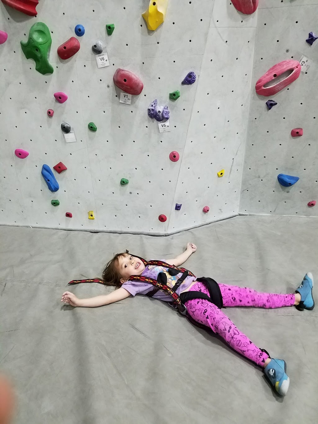 Bliss Climbing and Fitness | 11114 E 28th St N, Wichita, KS 67226, USA | Phone: (316) 831-1479