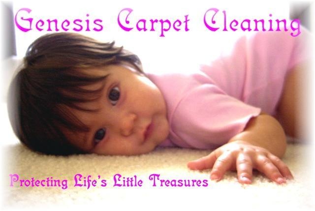 Genesis Carpet Cleaning | 5005 Highlands Dr, McKinney, TX 75070, USA | Phone: (214) 504-0401