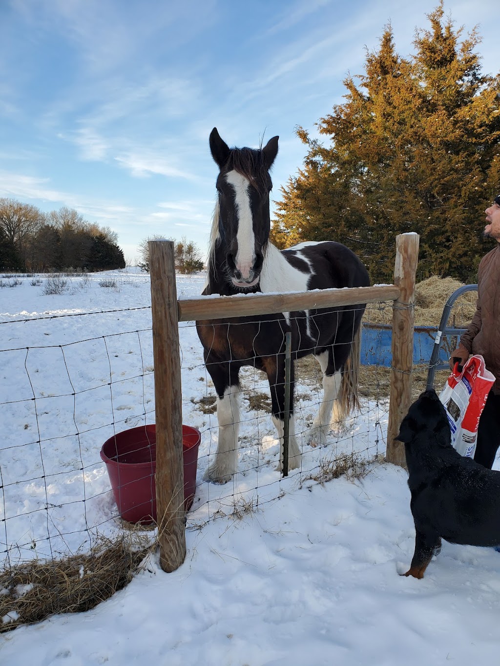 Timbercreek Animal Care | 2754 TX-276 #100, Rockwall, TX 75032, USA | Phone: (972) 722-1644