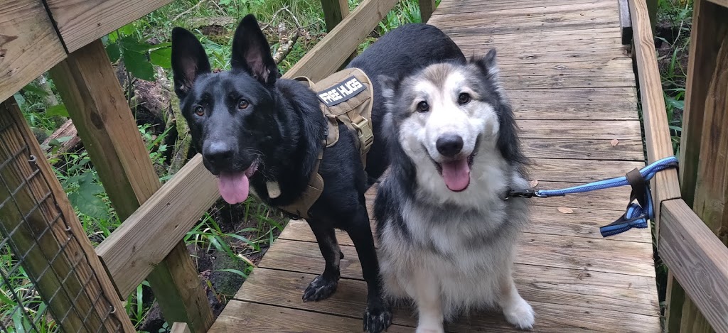 Homemade Hounds Bed & Biscuit | 34 Zibra St, Middleburg, FL 32068, USA | Phone: (904) 203-7314