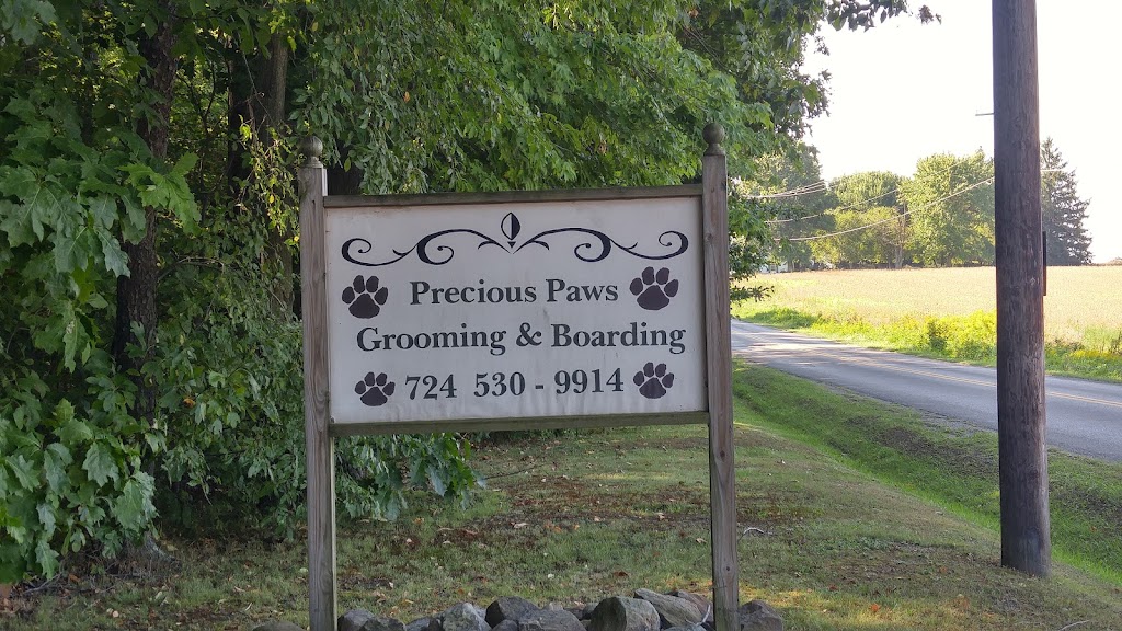 Precious Paws Pet Grooming | 1902 Plain Grove Rd, Volant, PA 16156, USA | Phone: (724) 530-9914