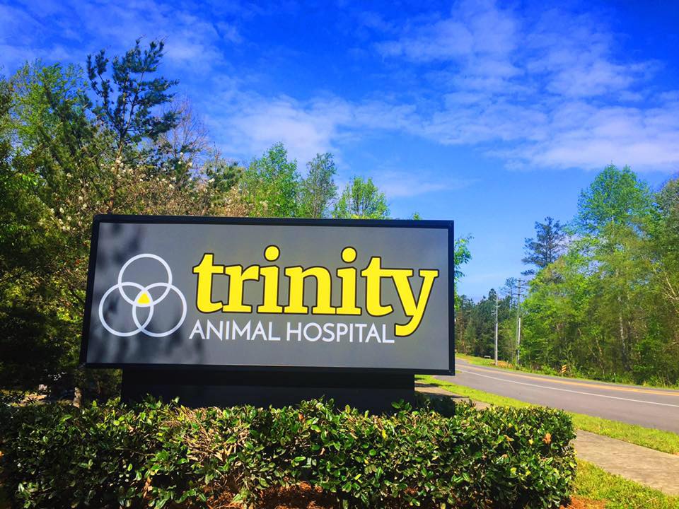 Trinity Animal Hospital | 4240 Sunset Lake Rd, Holly Springs, NC 27540 | Phone: (919) 303-7880