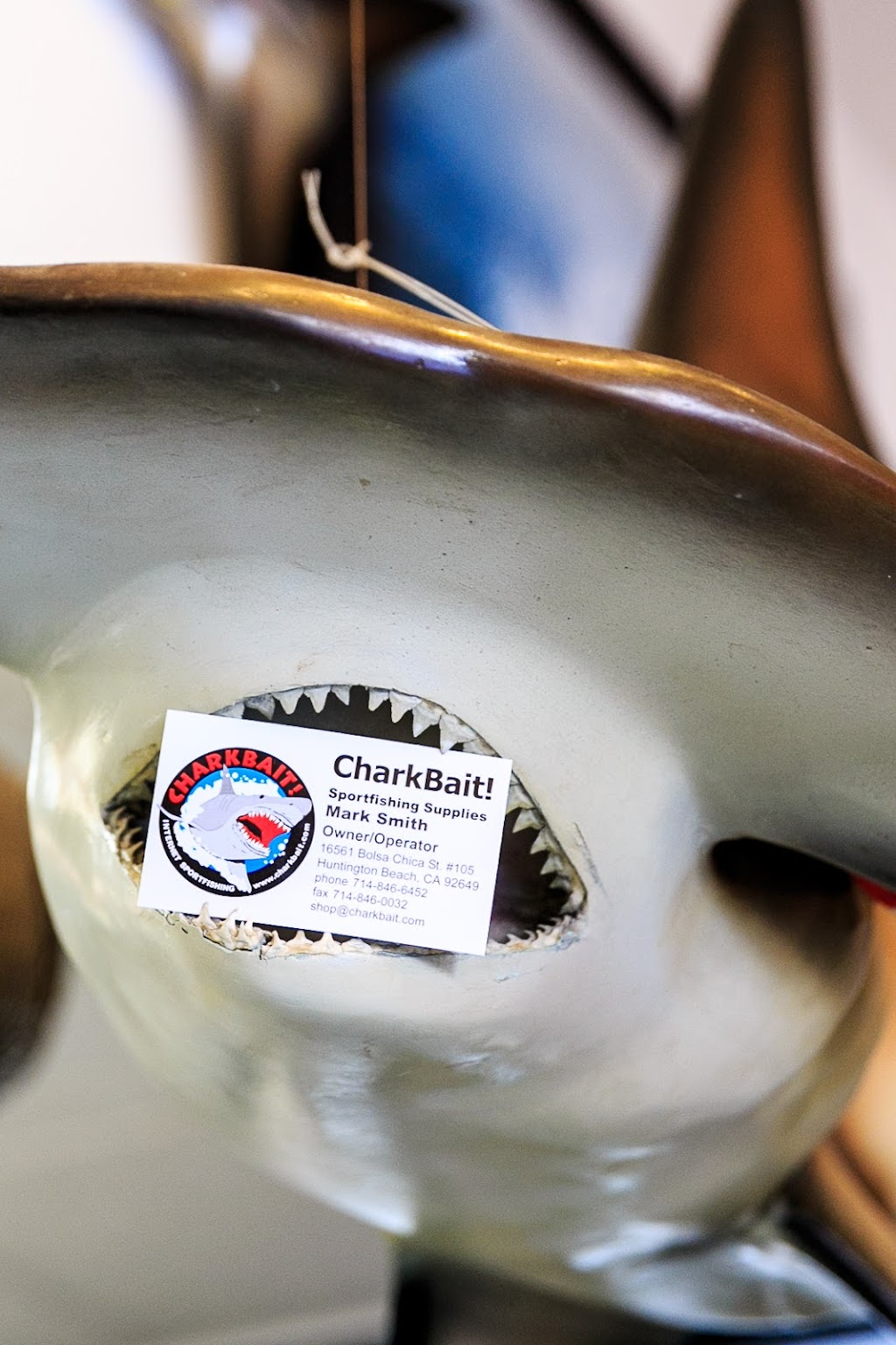 CharkBait | 16561 Bolsa Chica St #105, Huntington Beach, CA 92649, USA | Phone: (877) 424-2751