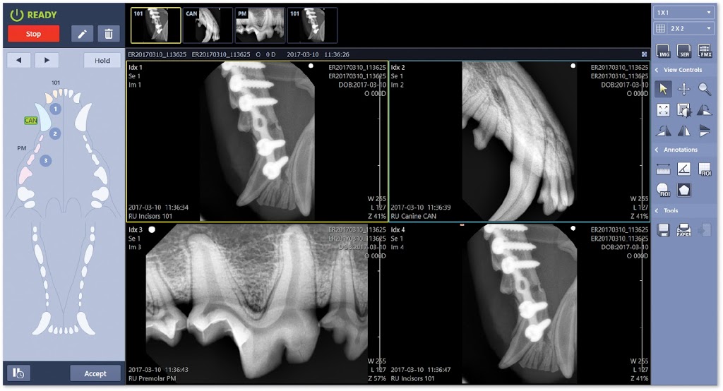 MyVet Imaging | 81 Ruckman Rd, Closter, NJ 07624, USA | Phone: (201) 561-0223