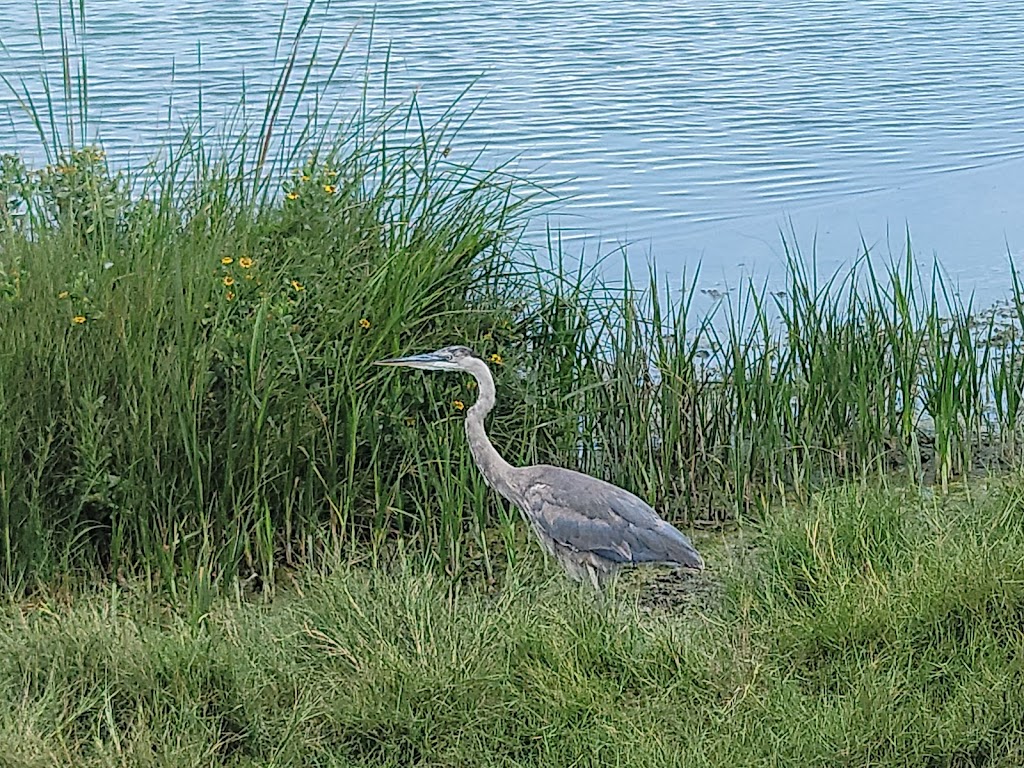 Leonabelle Turnbull Birding Center | 1356 Ross Ave, Port Aransas, TX 78373, USA | Phone: (361) 749-4111