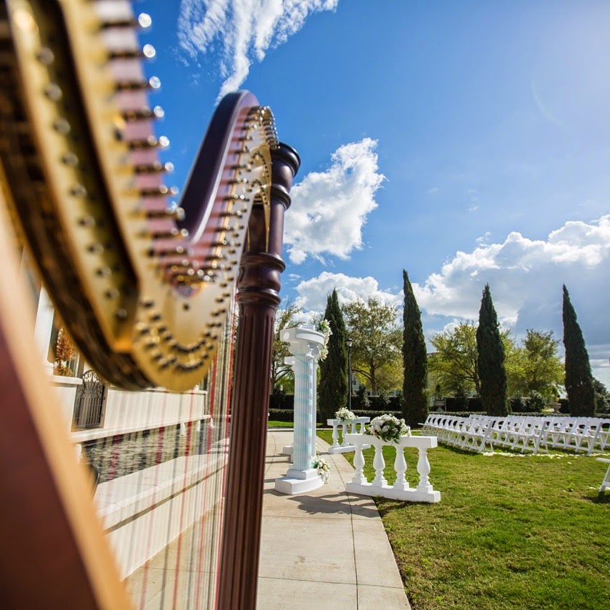 Tampa Harpist Kristen Elizabeth | 3812 Spruce Pine Dr, Valrico, FL 33596 | Phone: (304) 804-4277