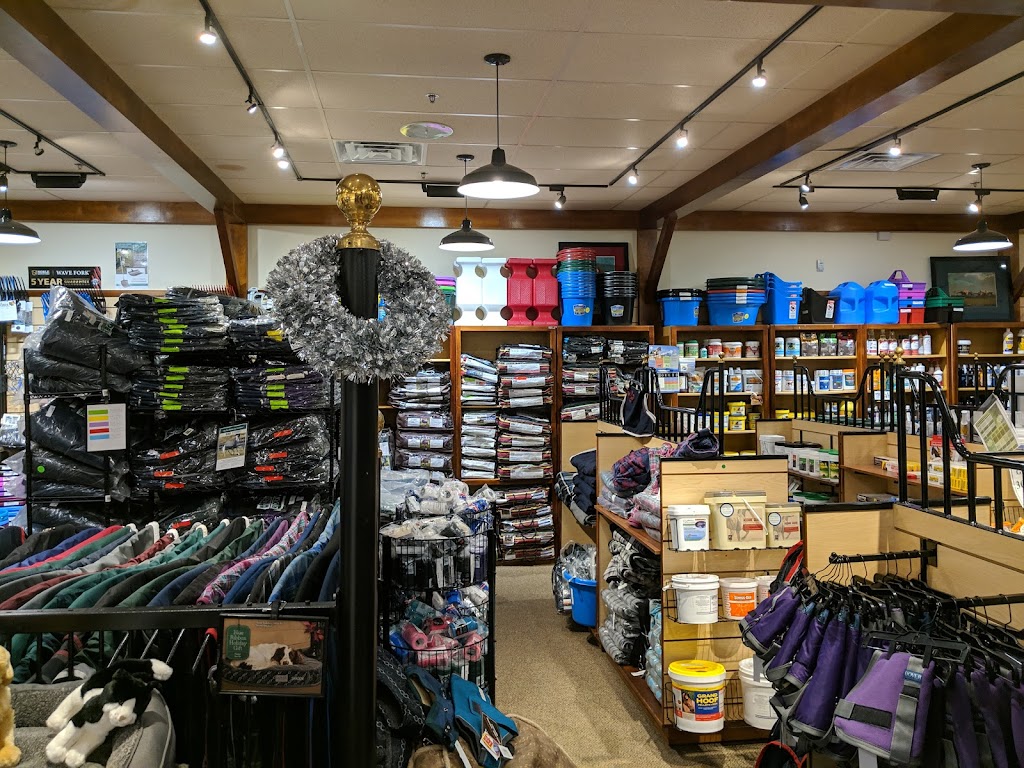 Dover Saddlery | 231 Wade Rd Extension, Latham, NY 12110, USA | Phone: (518) 690-9461