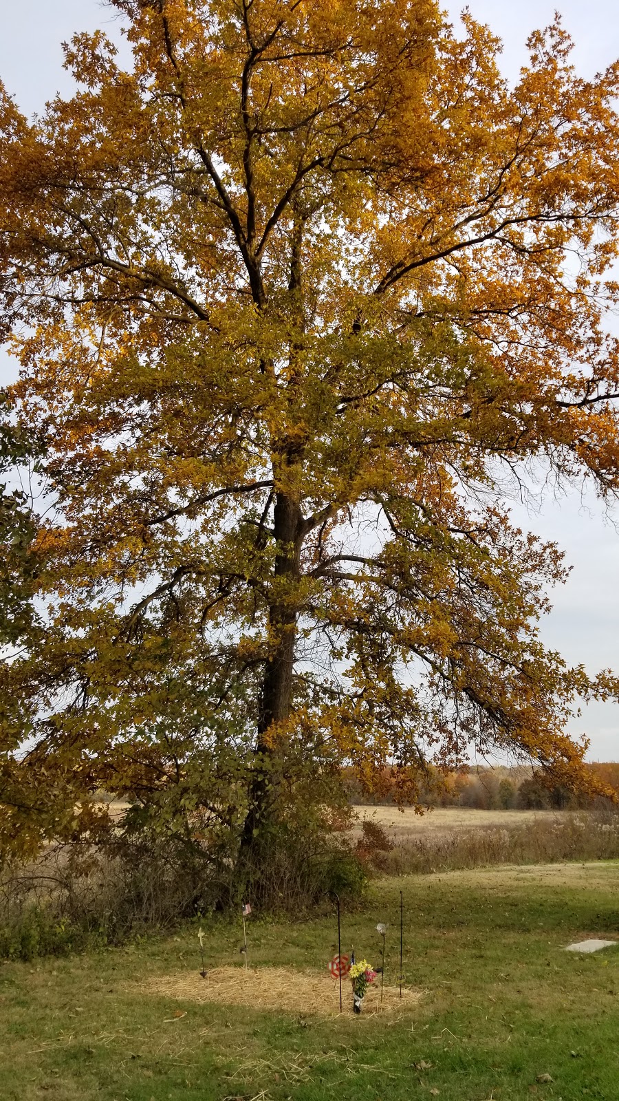 Mayfield Memorial Park Cemetery | RR 4, Carlinville, IL 62626, USA | Phone: (217) 854-2432