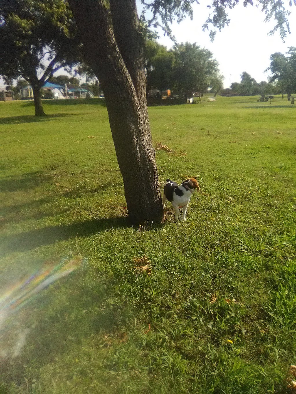 W.J. Thomas Splash Pad | 1955 Perry Rd, Carrollton, TX 75006, USA | Phone: (972) 466-3080